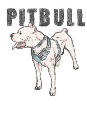 pitbull drawings spitting